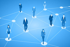 grafik navcert netzwerk